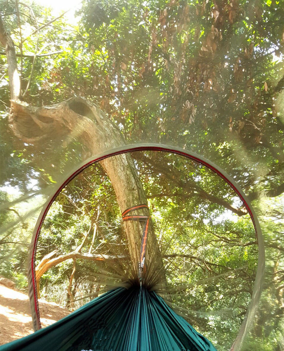 Tunnel Hammock with Mosquito Net - Image 6